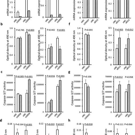 Knockdown Of The SPHK1 And LTB Genes Using Small Interfering RNA