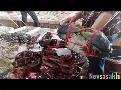 Pasar Ikan Modern Muara Baru Beli Kepiting Besar Udang Ikan YouTube