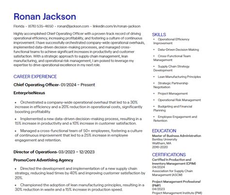 1 Chief Operating Officer CV Examples Free Templates