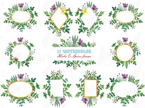 Herbs And Spices Frames Watercolor Clip Art Pack Watercolor Herb Leaves Borders Png  Svg