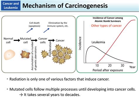 Mechanism Of Carcinogenesis Moe