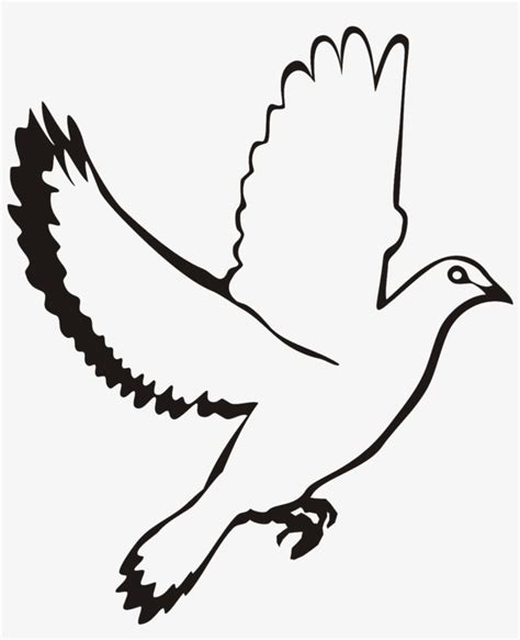 White Flying Dove Clipart - White Dove Vector Png Transparent PNG ...