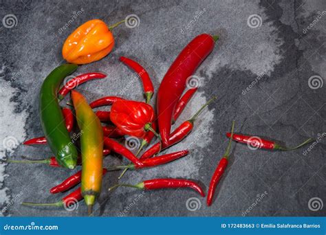 Pimenta Pimenta De Diferentes Tipos E Cores Em Fundo Cinza Imagem De