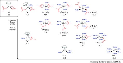 A Computational Study On The Identity Of The Active Catalyst Structure