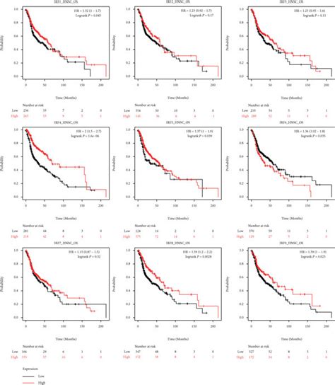 KaplanMeier Survival Curves For Visualizing The Association Of Overall