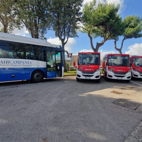 Iveco Bus Consegner Mezzi Ad Acamir Minibus Daily E Crossway