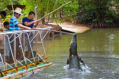 From Ho Chi Minh Can Gio Mangrove Forest Monkey Island