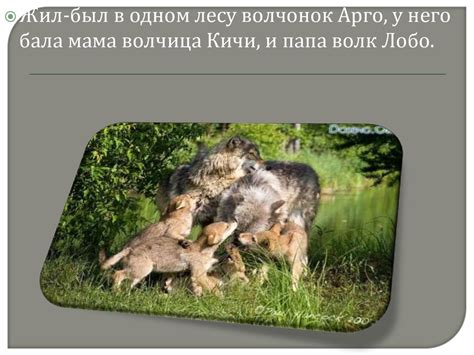 Сказка про Арго - презентация онлайн