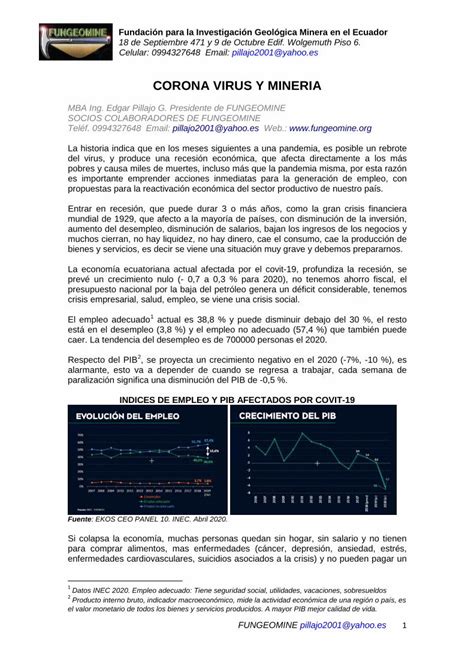 PDF Fundación para la Investigación Geológica Minera en el