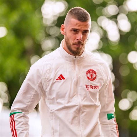 Curiosidades PL On Twitter David De Gea E O Manchester United