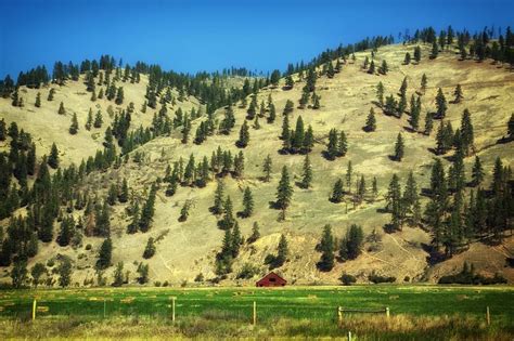 Montana Farmland Vineyard Outdoor Ranch Farmhouse Outdoors