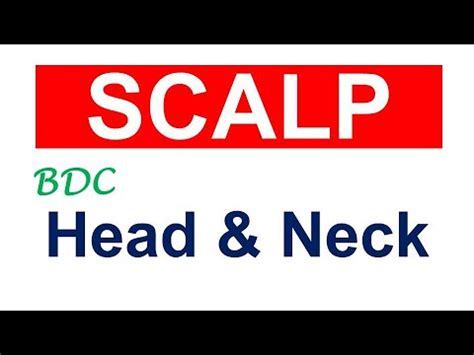 Chp Anatomy Of Scalp Head Neck Anatomy Bdc Vol Dr Asif