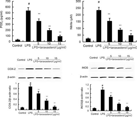 Taraxasterol Inhibits Lps Induced Inos Cox 2 Expression And No And