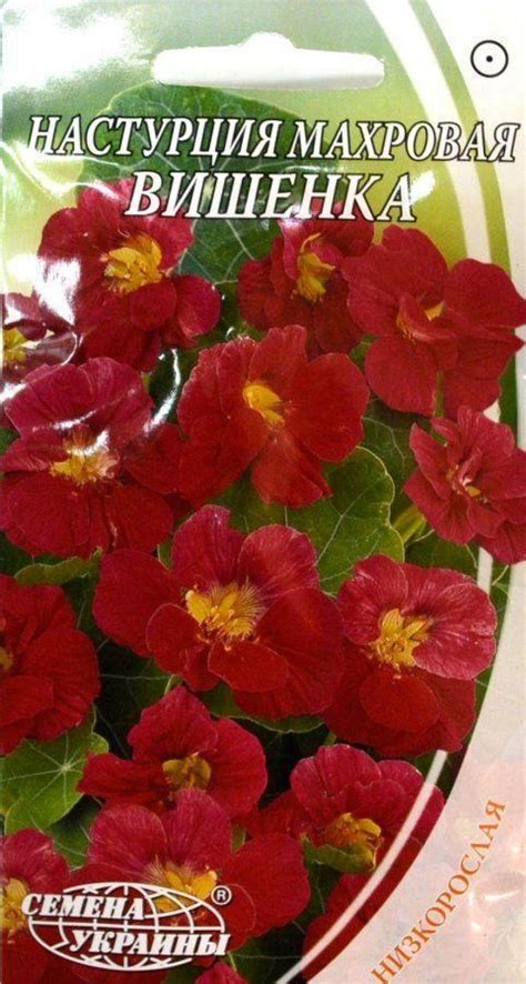 Настурция махровая "Вишенка" ТМ "Семена Украины" 1.5г купить почтой в ...