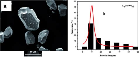 A Sem Micro Graphs And B The Corresponding Histograms For