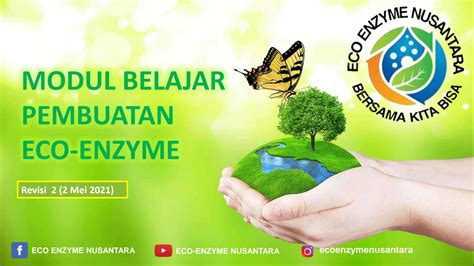 SOLUTION Modul Eco Enzyme Studypool