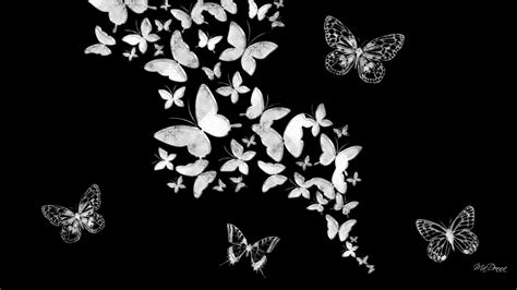 Black And White Butterfly Wallpapers Top Nh Ng H Nh Nh P