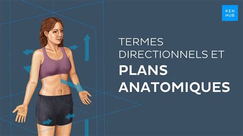 Position Anatomique Termes Directionnels Et Plans Anatomiques