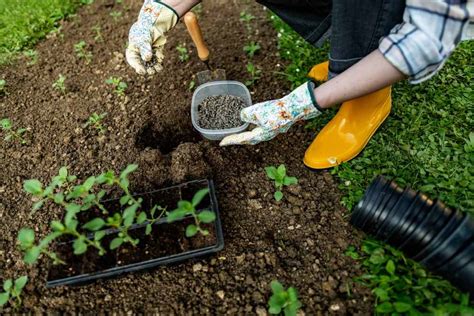 Fertilisant naturel déterminer et utiliser un bon fertilisant au jardin