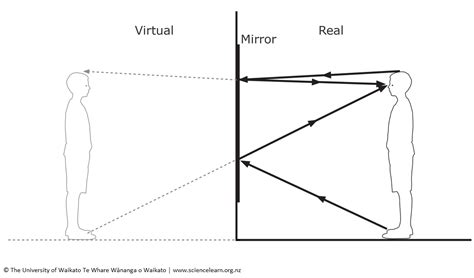 Reflections in a full-length mirror — Science Learning Hub