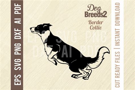 Border Collie Jumping Dog Svg Stencil Graphic By Signreadydclipart