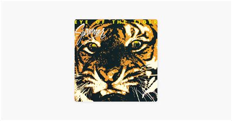 ‎eye Of The Tiger Song By Survivor Apple Music