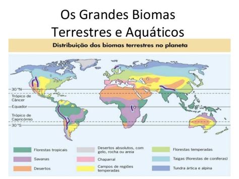 Os Grandes Biomas Terrestres E Aquáticos