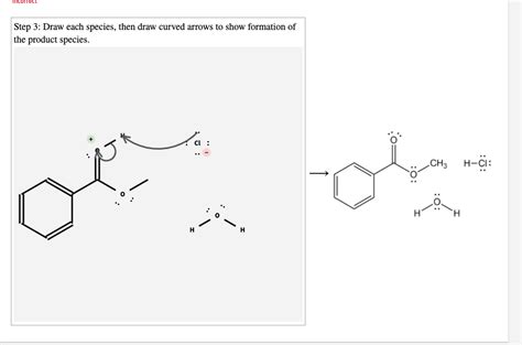 Solved Examination Of The Fischer Esterification Mechanism Chegg