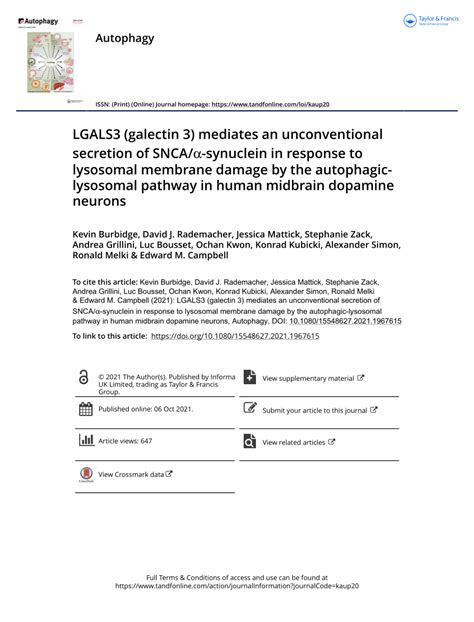 Pdf Lgals Galectin Mediates An Unconventional Secretion Of Snca