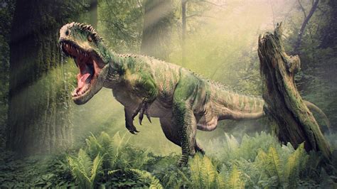 Dinosaur T Rex Wallpaper Hd 155 Free Photos Of T Rex