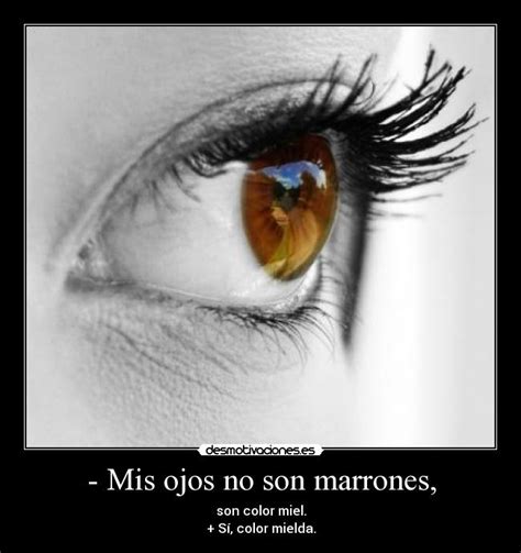 Ojos De Colores Con Frases Imagui