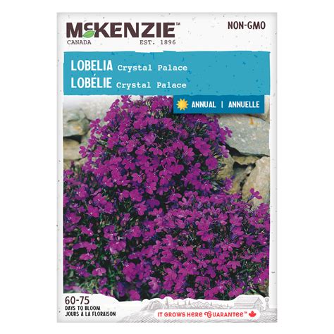 Lobelia Seeds, Crystal Palace – McKenzie Seeds