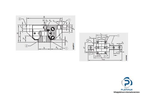 Ina Rwu E L G V Recirculating Roller Bearing Carriage Platinum