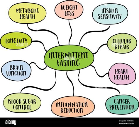 Beneficios Para La Salud De Infografías De Ayuno Intermitente Dieta Y Concepto De Estilo De