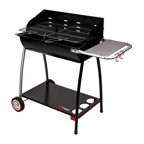 Confirmer Studio Pinte Barbecue Charbon Somagic Autan Mar E Descendante