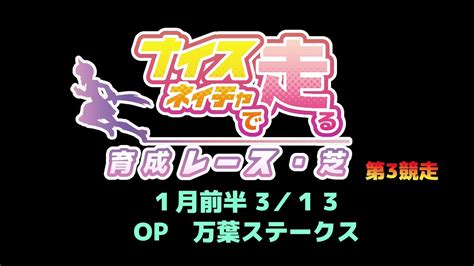 ナイスネイチャで走る育成レース・芝 第3競走 1月前半 万葉ステークス Youtube