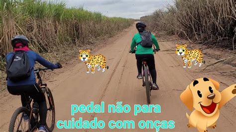 Ciclismo MTB passando pela toca das onças YouTube