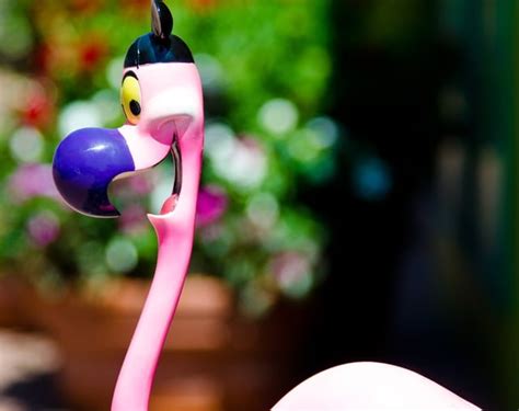 Guide to Flamingo Crossings: Disney World's "Second Springs" - Disney Tourist Blog