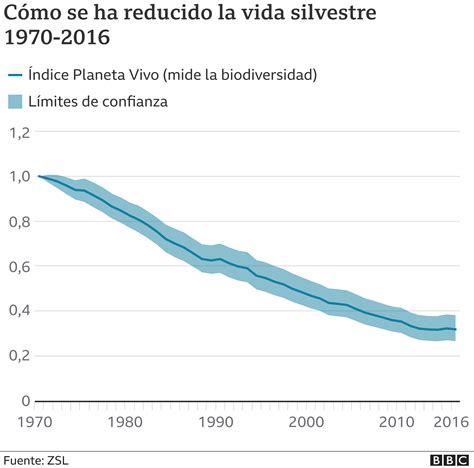 5 gráficos que muestran el impacto de la actividad humana sobre la