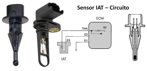 Diagrama Del Sensor Iat Sensor Iat