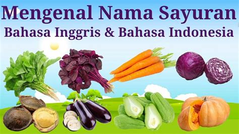 Belajar Mengenal Nama Sayur Sayuran Dalam Bahasa Indonesia Dan Bahasa