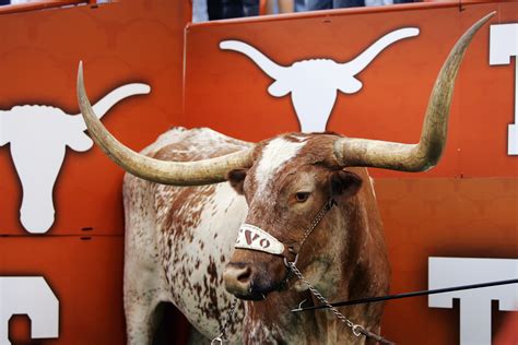Longhorn Mascot