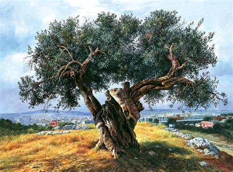 Olive tree in Filopappou, Athens, painting by Elidon Landscape Photos ...