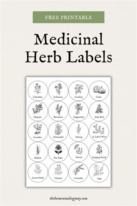 Free Printable Medicinal Herb Labels For Your Apothecary The