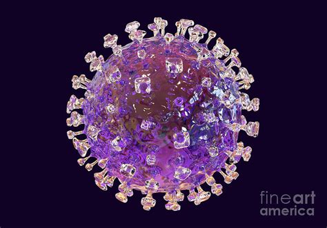 Nipah Virus Particle Photograph By Kateryna Konscience Photo Library