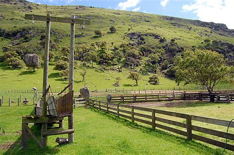 Cattle Pen Background Images Hd Pictures And Wallpaper For Free