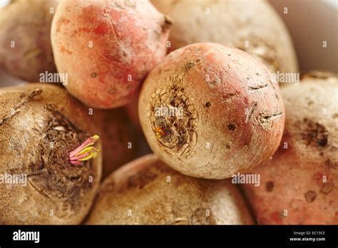 Fresh Raw Beetroot Beets Stock Photo Alamy