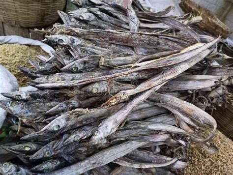 Dry Fish In Market Stock Image Image Of Meat Fish 259072851