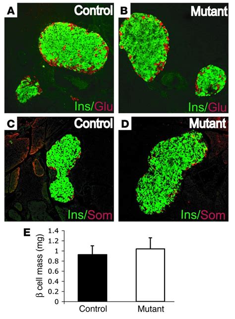 JCI The MODY1 gene HNF 4α regulates selected genes involved in