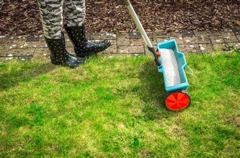 How To Fertilize Your Lawn Correctly The Unlimited Guide